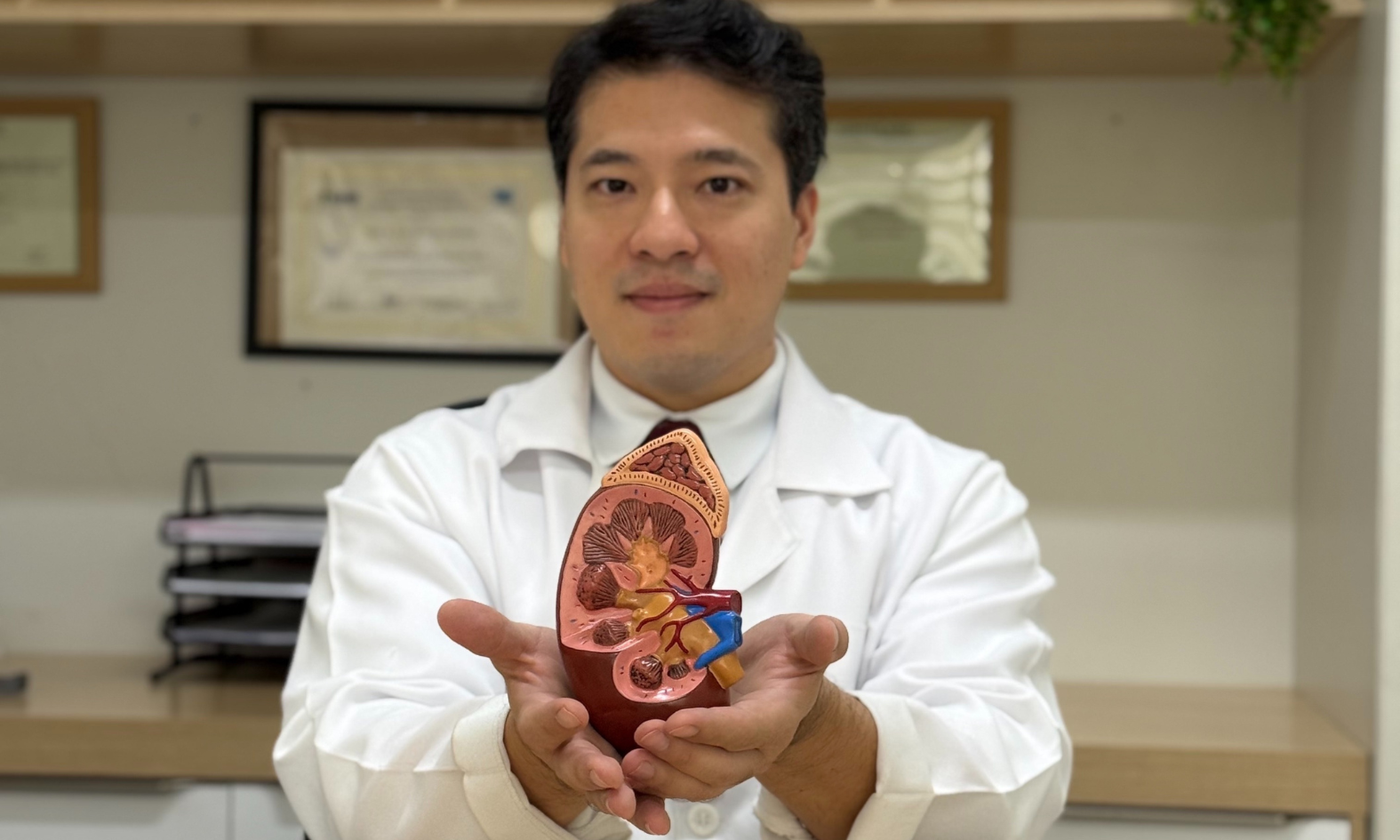 Transplante Renal em Cascavel: Como a Renalclin Pode Ajudar Você no Processo